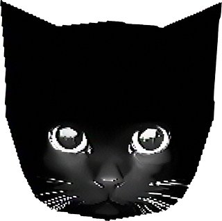 SLUJ® — BRO THE CAT SHOP