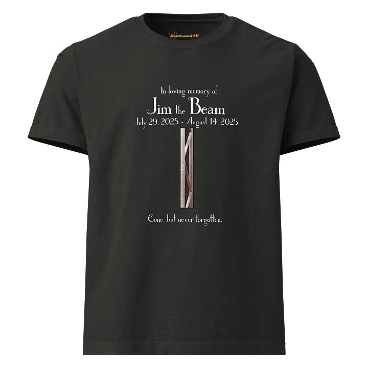 Jim the Beam Oversized Tee product image (1)