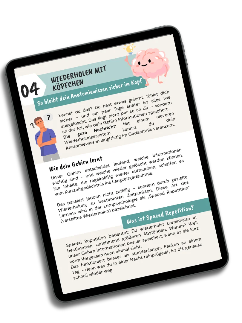 E-Book: Schritt für Schritt zum Anatomie-Profi product image (5)