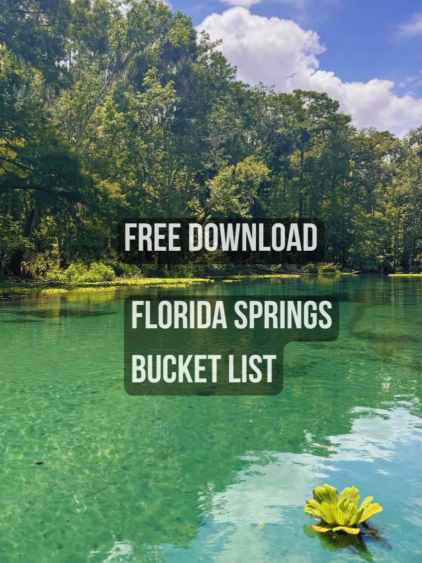 Florida Springs Bucket List - Free Download product image (1)