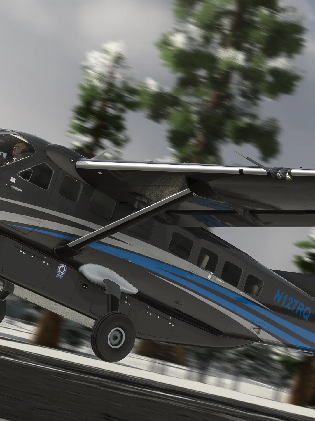 C208B EX VIP Livery Pack product image (2)