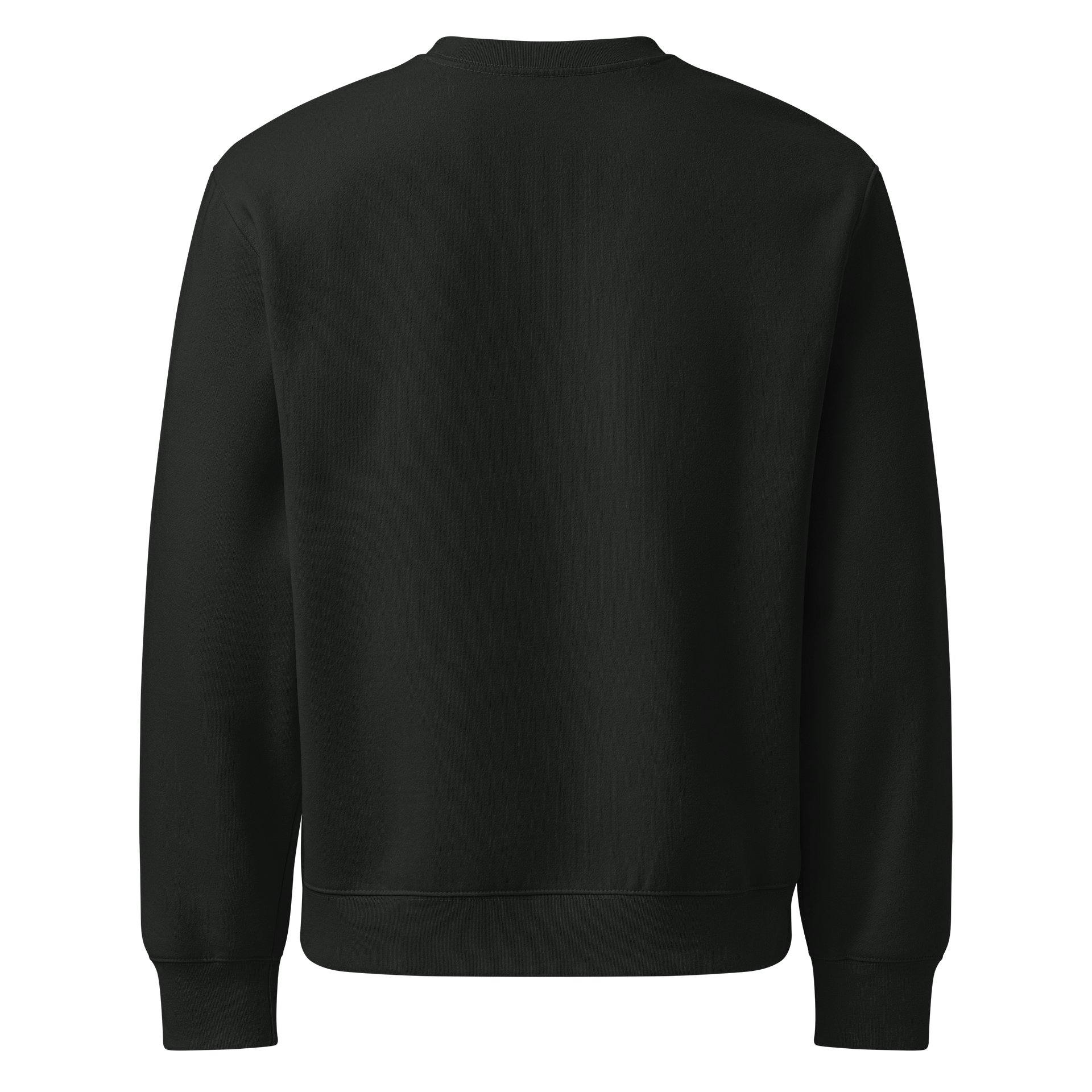 Cozy Kathy Sweatshirt product image (2)
