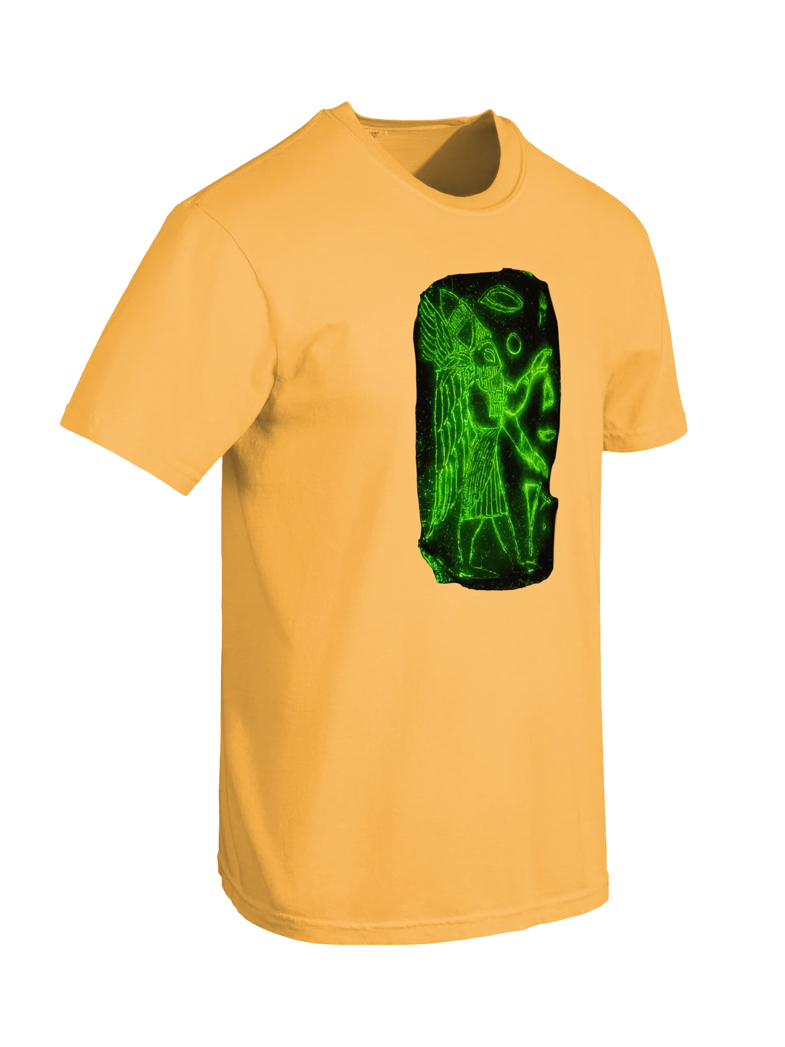 Project Disclosure Premium T-Shirt product image (6)