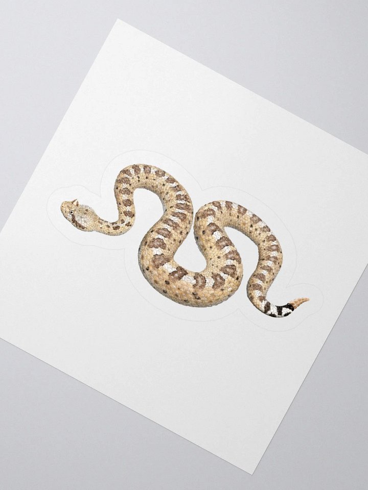Die-Cut Sticker – Sonoran Sidewinder product image (2)