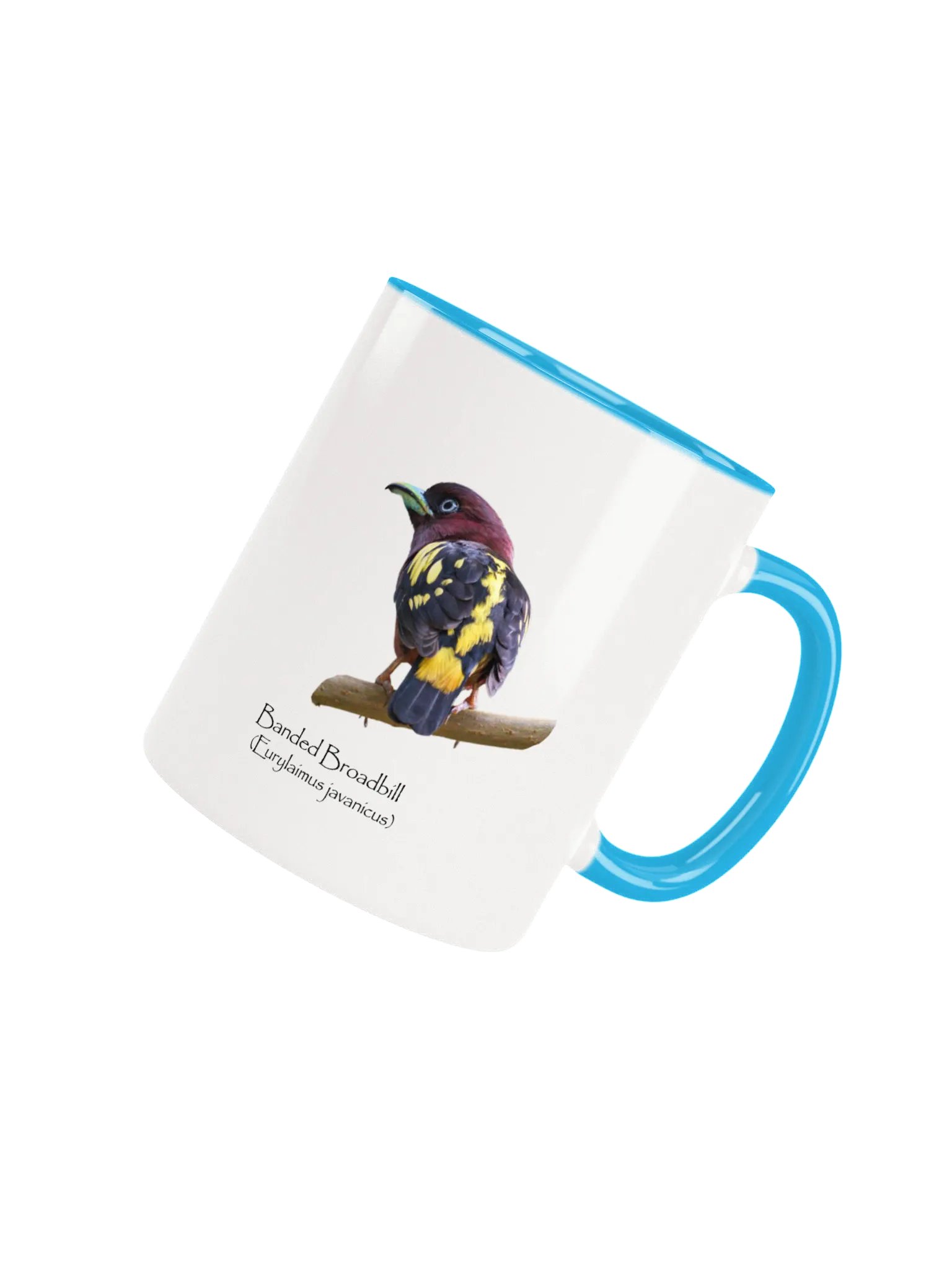 Banded Broadbill mug product image (4)