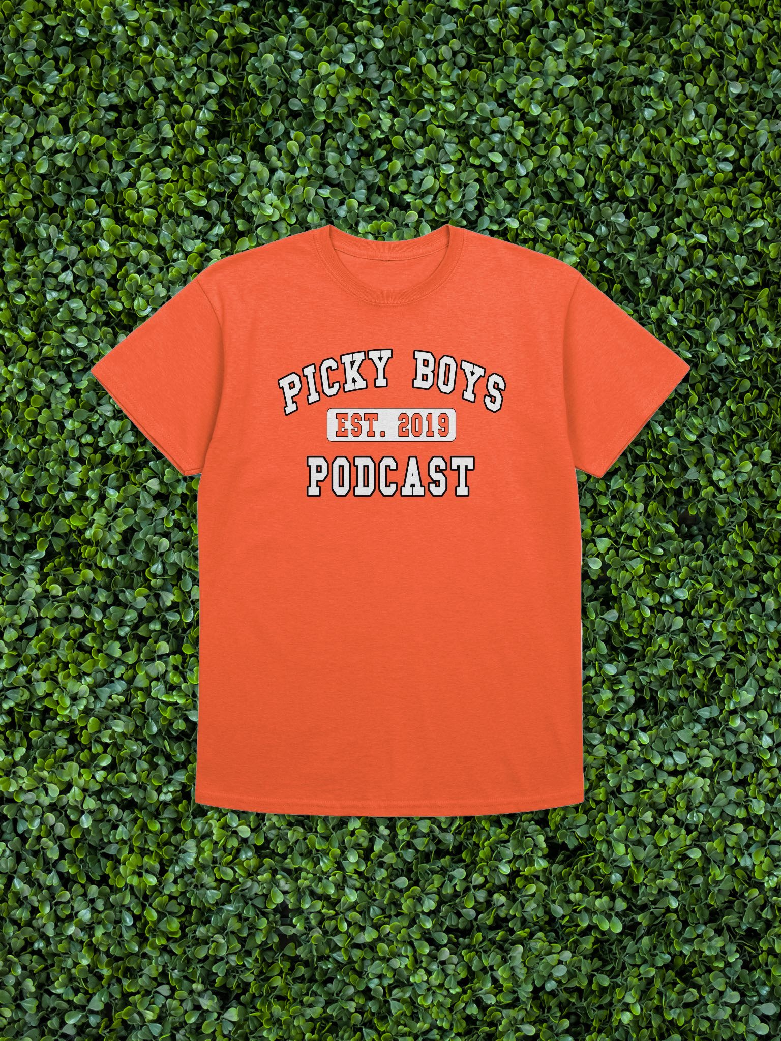 Picky Boys Est. 2019 T-Shirt (8 Colors) product image (1)