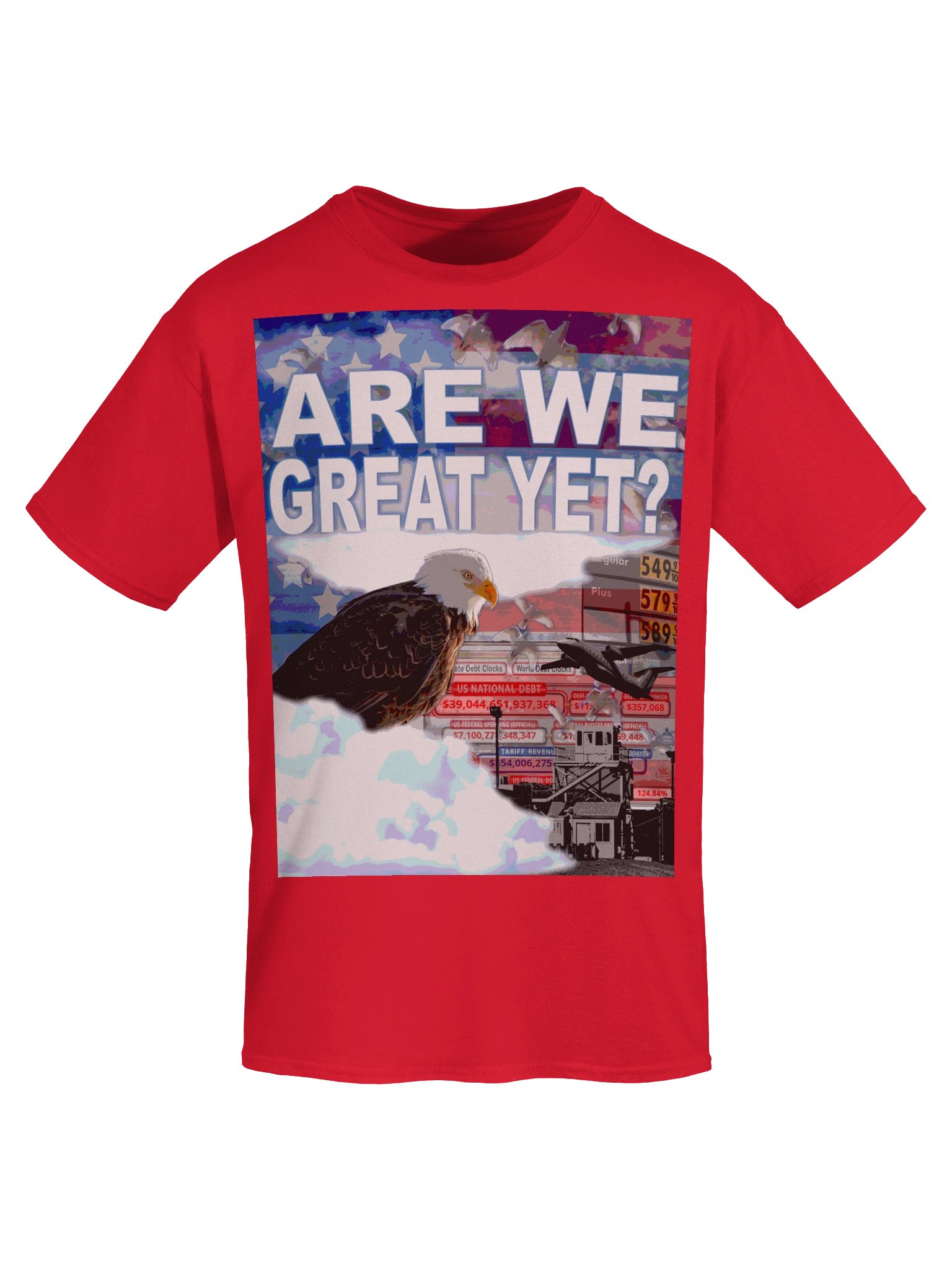 AMERICA HAS A PROBLEM... - T-SHIRT product image (43)