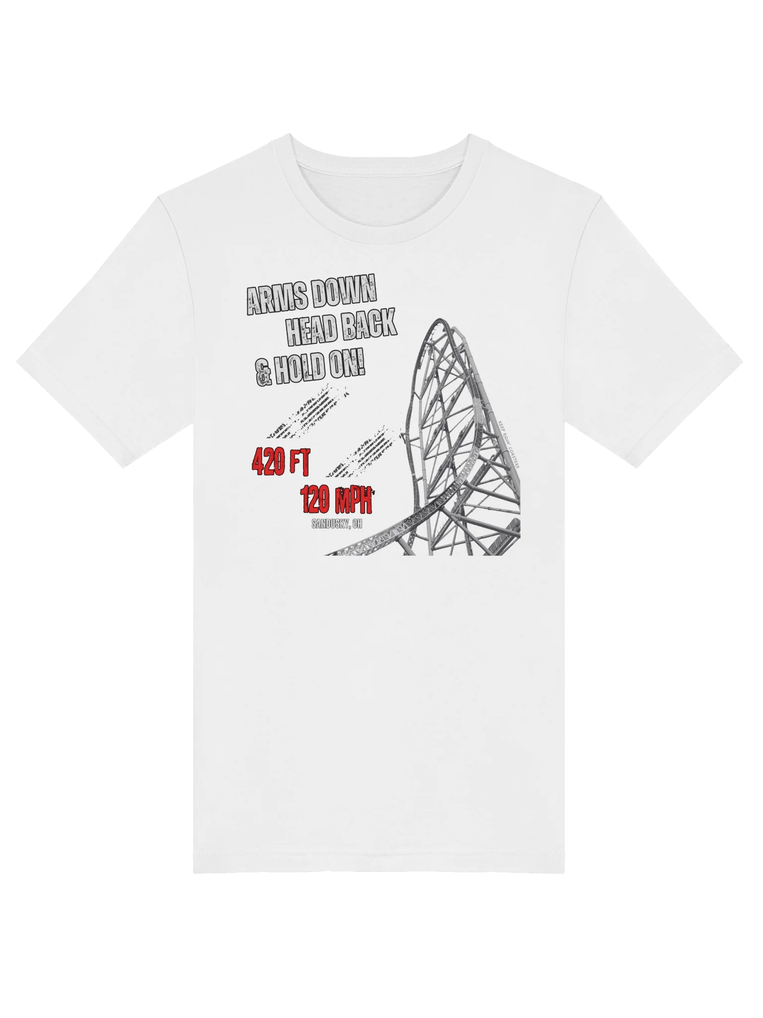 Arms Down, Head Back & Hold On - 420/120 Tee product image (24)