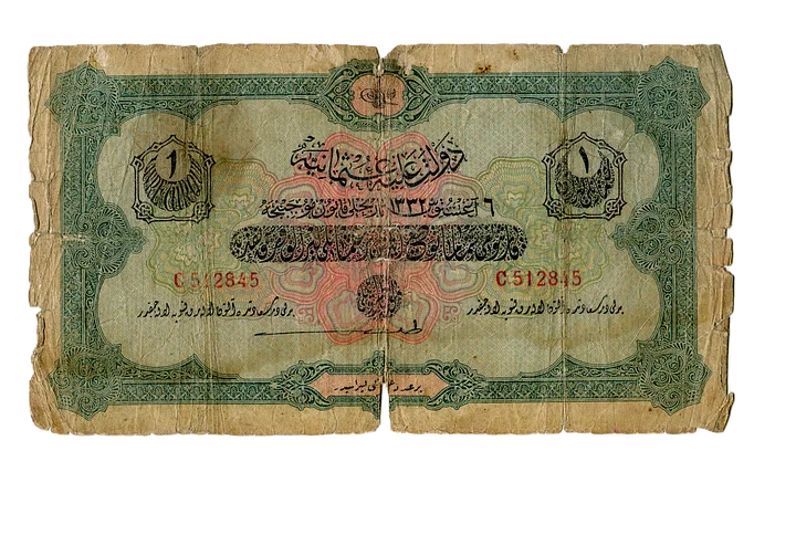 ليرة عثمانية واجدة اصدار عام 1917 product image (1)