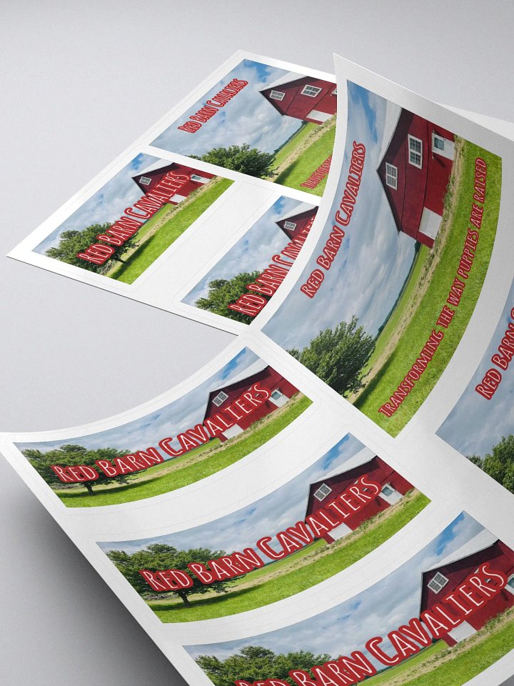 RBC Logo Sticker Set product image (1)