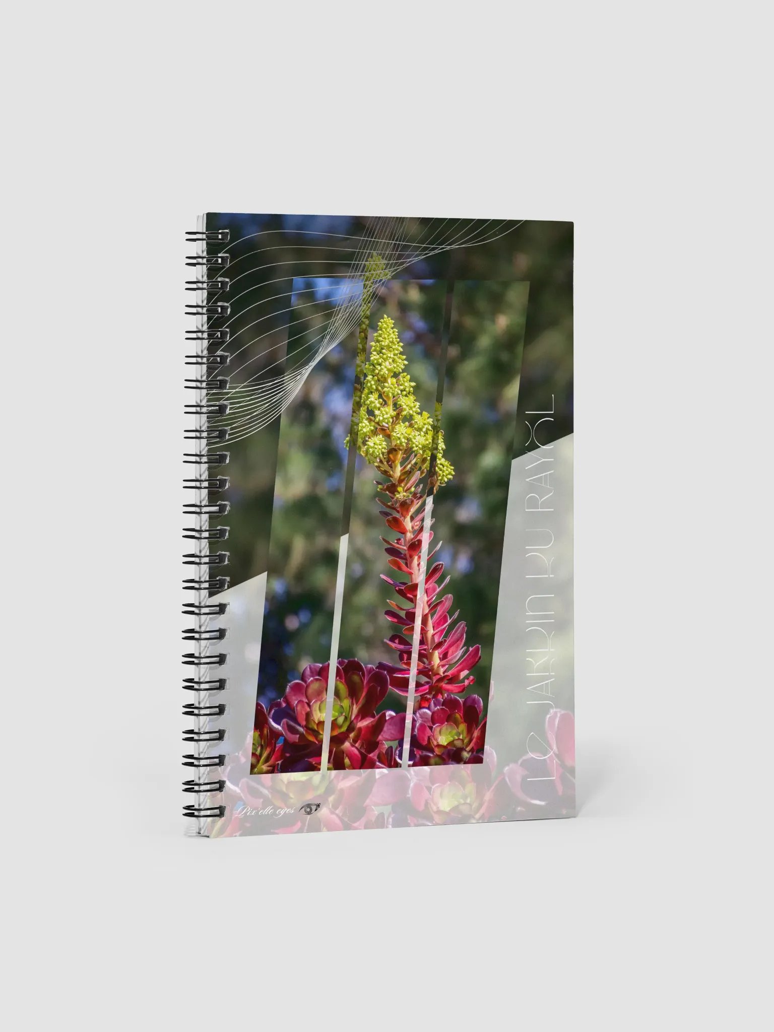 GeoGraphik Notebook – Aeonium Pourpre – A5 Format product image (1)