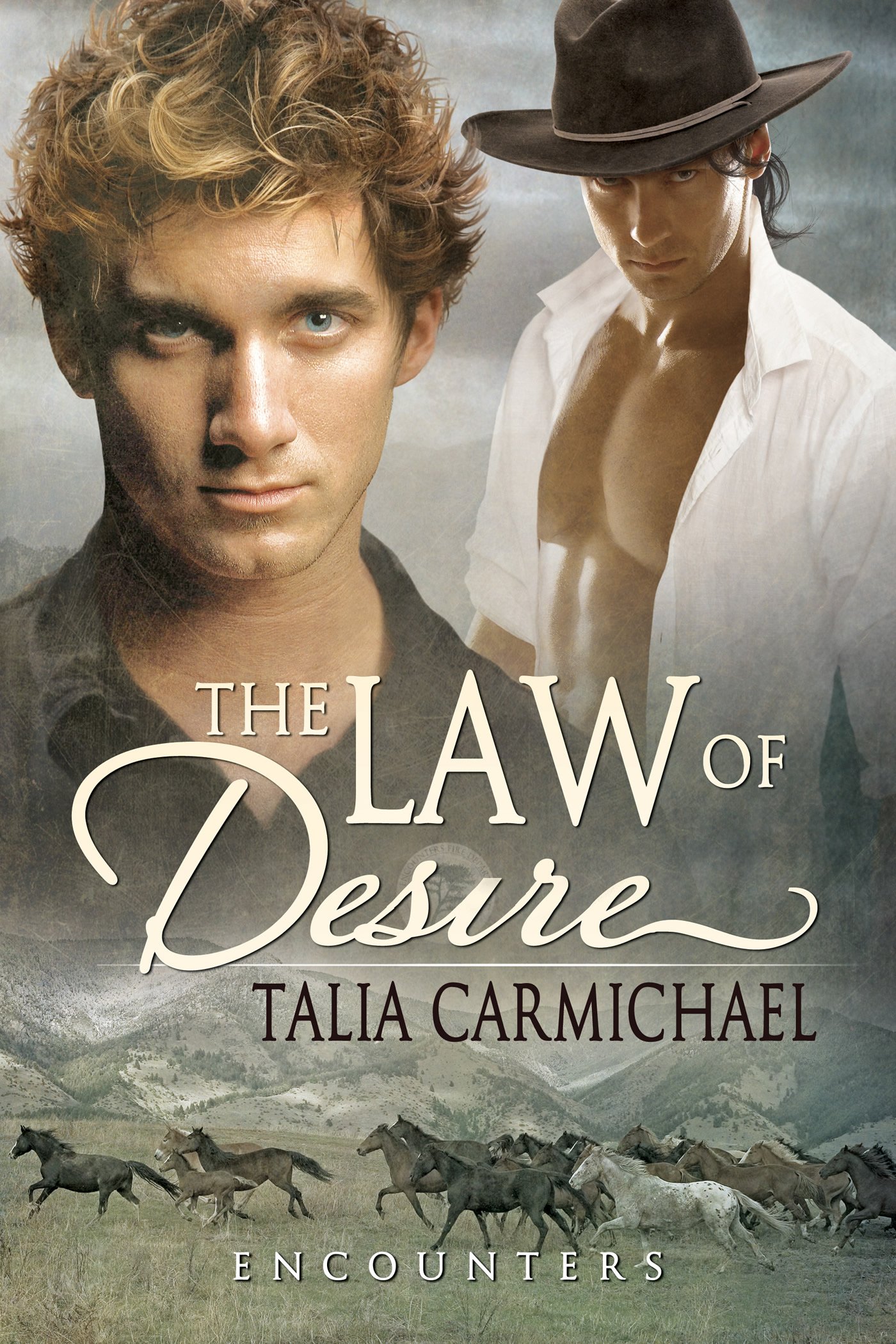 The Law of Desire product image (1)