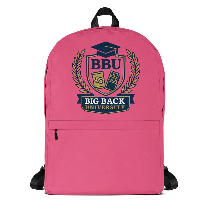 BBU Backpack - Pink product image (1)