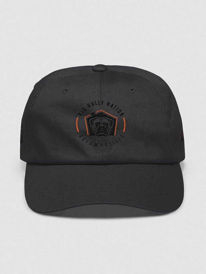 BBN Logo 2 Dad Hat product image (3)