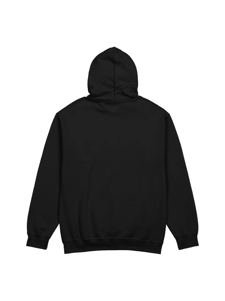 HEALING not HIDING Hoodie product image (2)