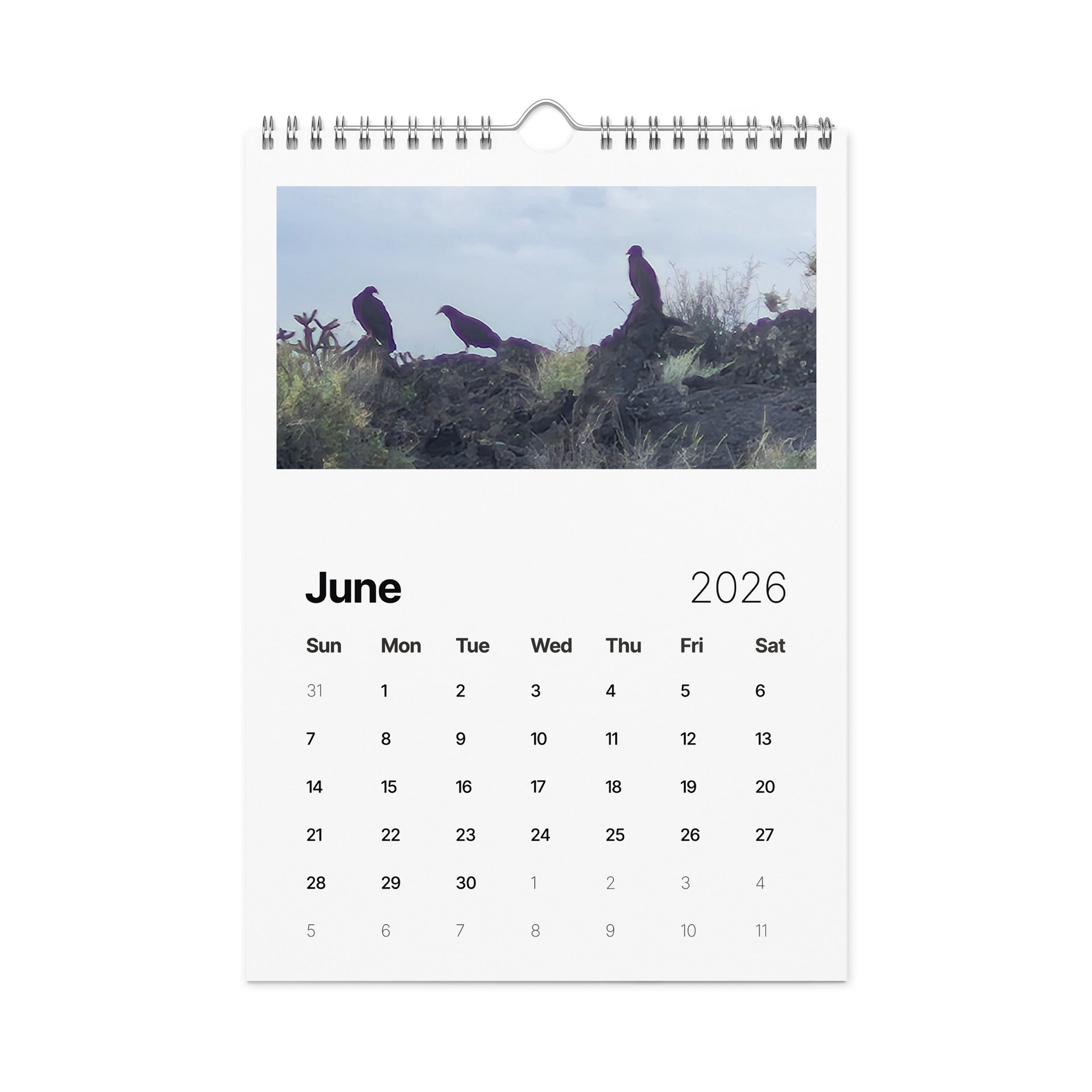 Valley of Fires Wall calendar product image (8)