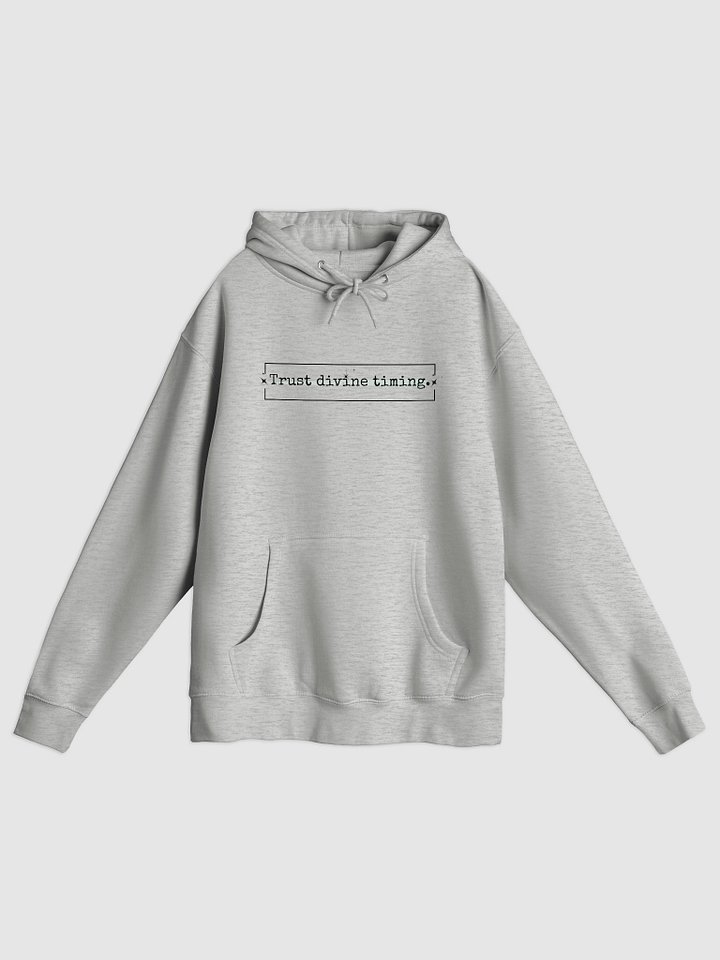 Trust Divine Timing Hoodie product image (1)