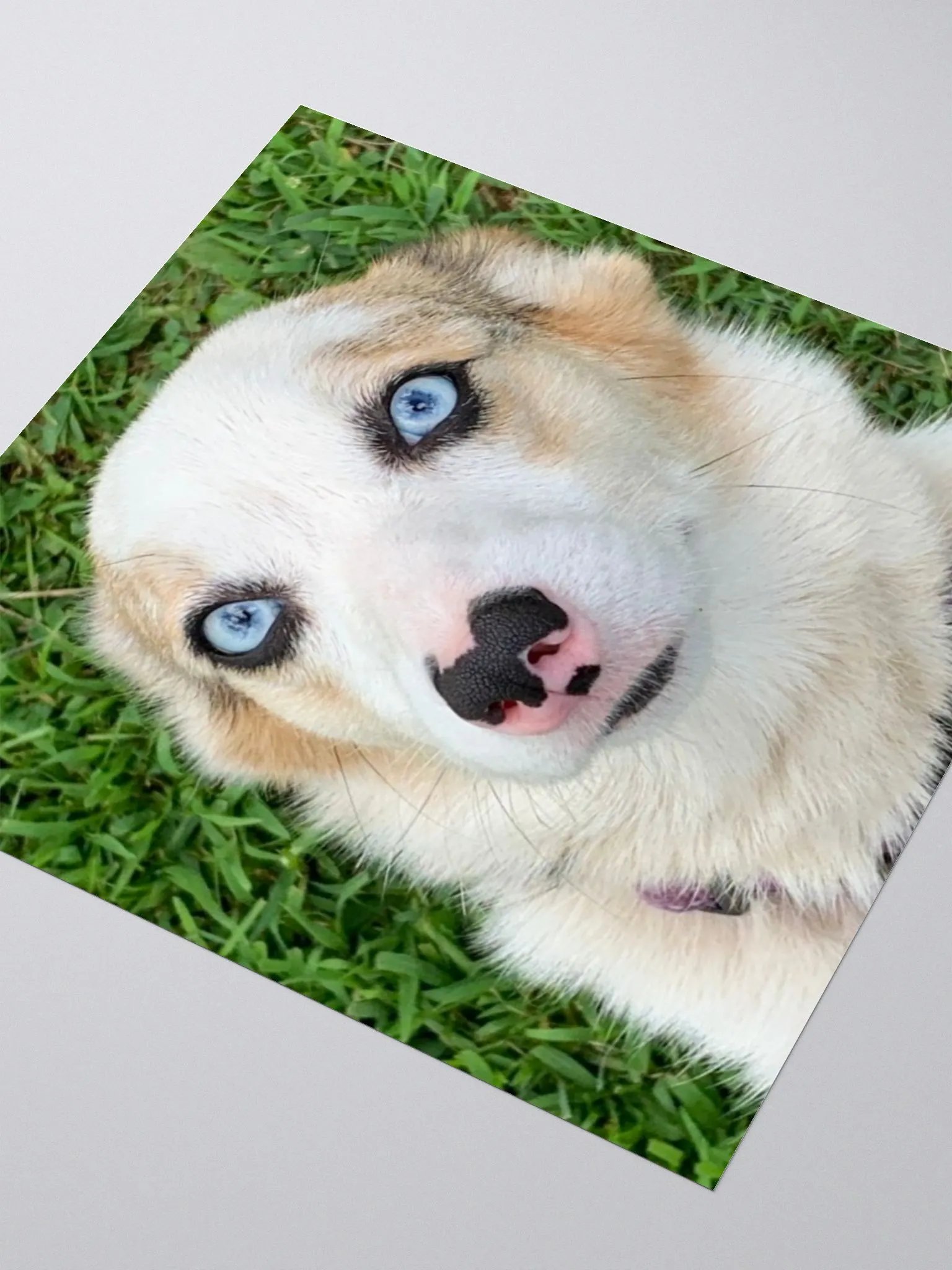 Athena Sticker product image (3)