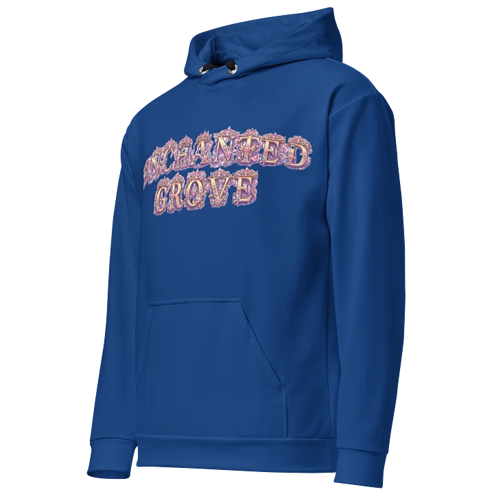 Kingdoms Treasurer 2 Recycled Hoodie product image (2)