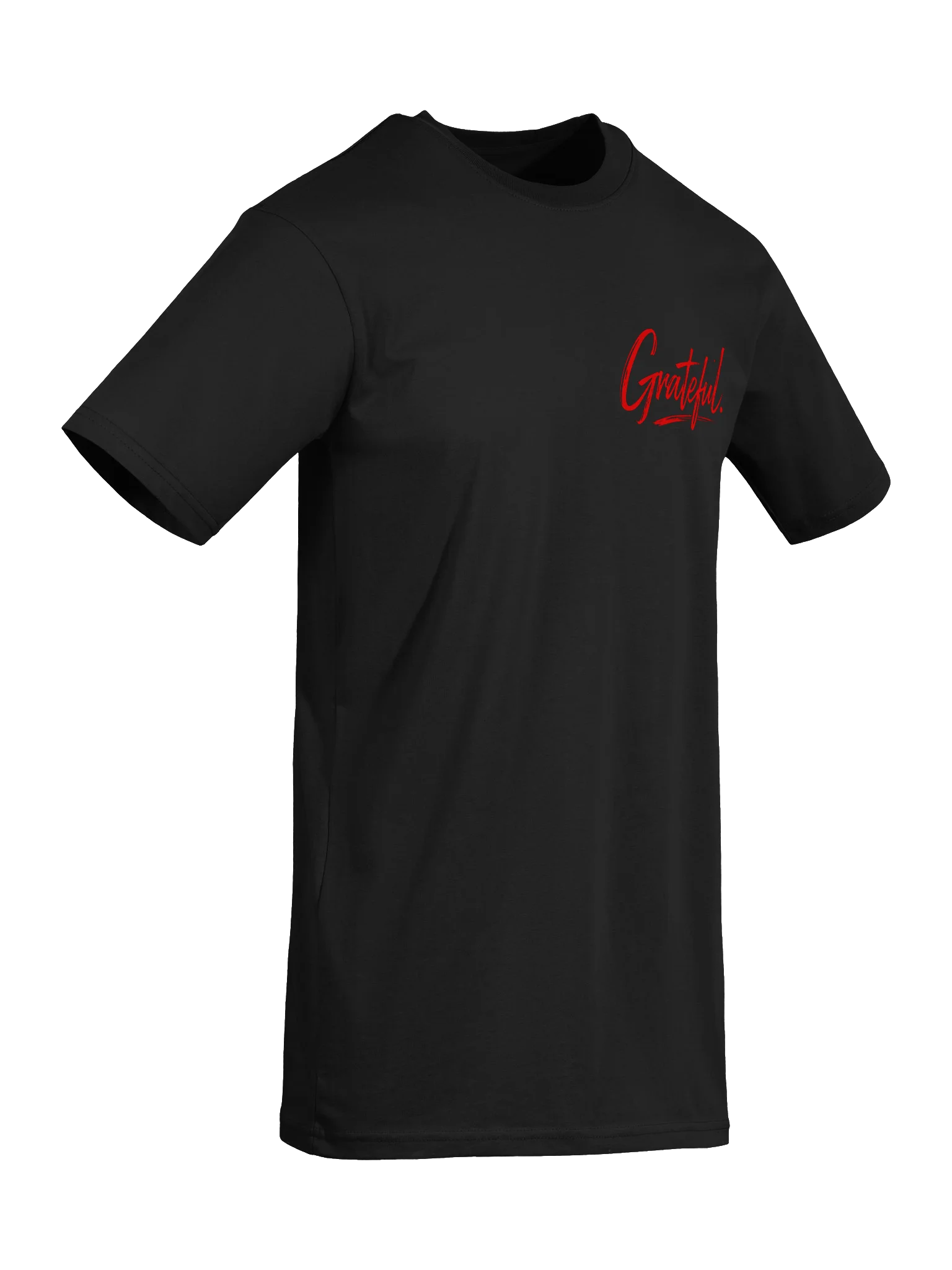Grateful Studio Edition Tee product image (26)