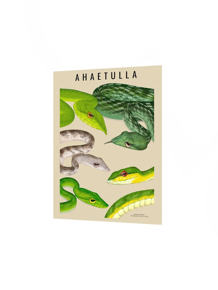 AHAETULLA VINE SNAKE POSTERS (CREAM) product image (2)