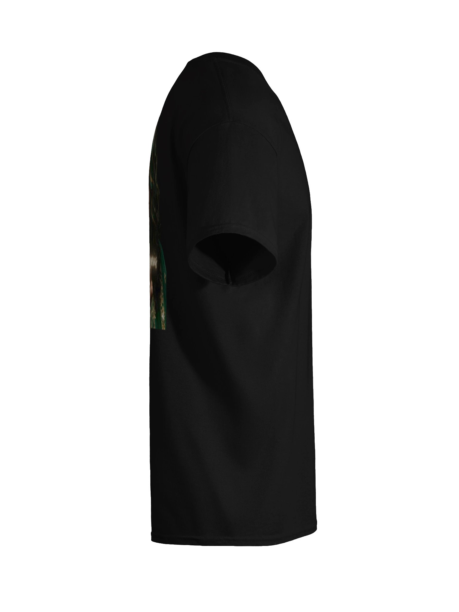 Custom Peaceful + Progressive 2026 Graphic Tee product image (23)