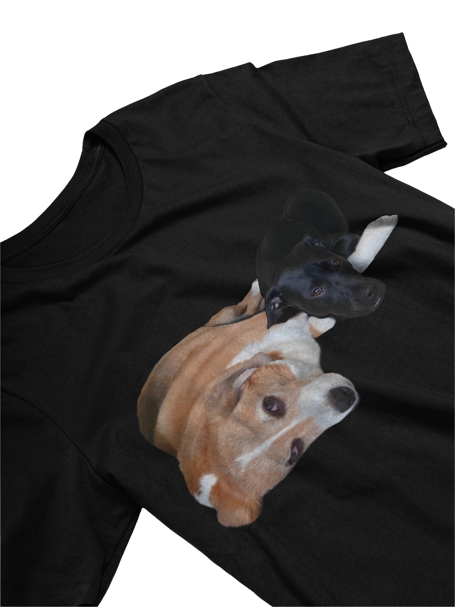 Murphy and Shadow Super Soft Tee product image (32)