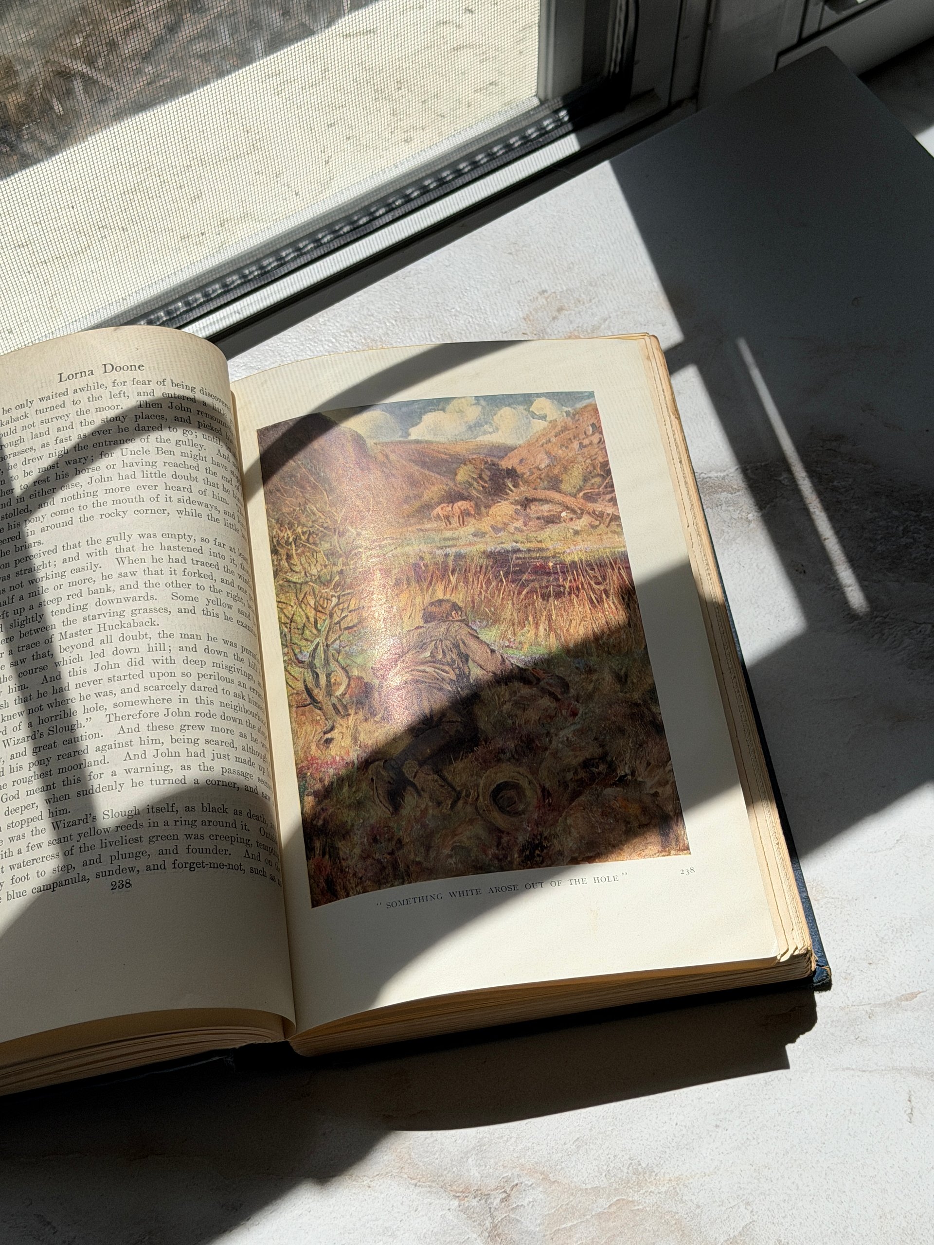 1931 | Lorna Doone by R. D. Blackmore | Dodd Mead Illustrated Hardcover | 16 Color Plates product image (9)