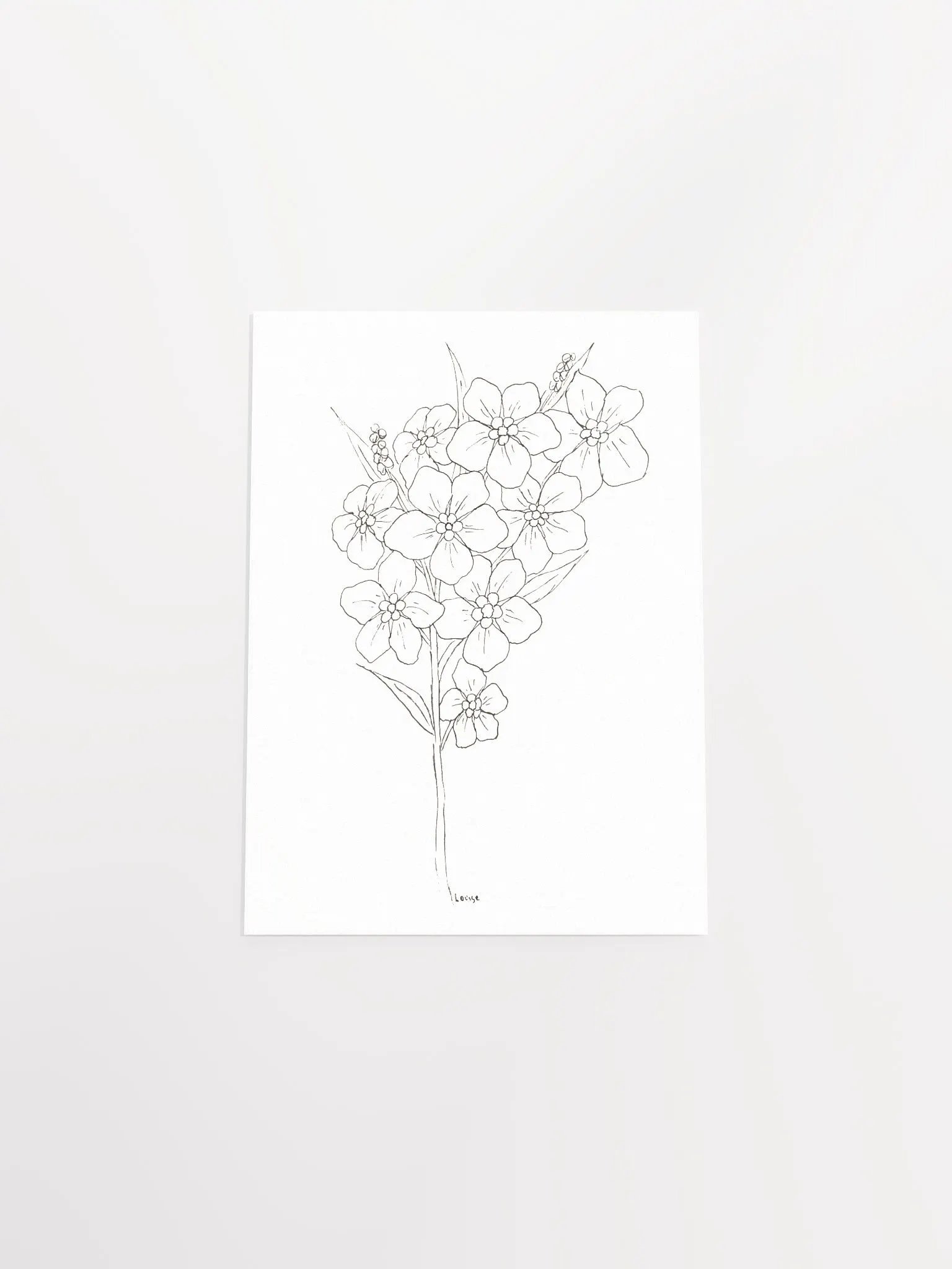 Forget-Me-Not Line Art Poster product image (4)