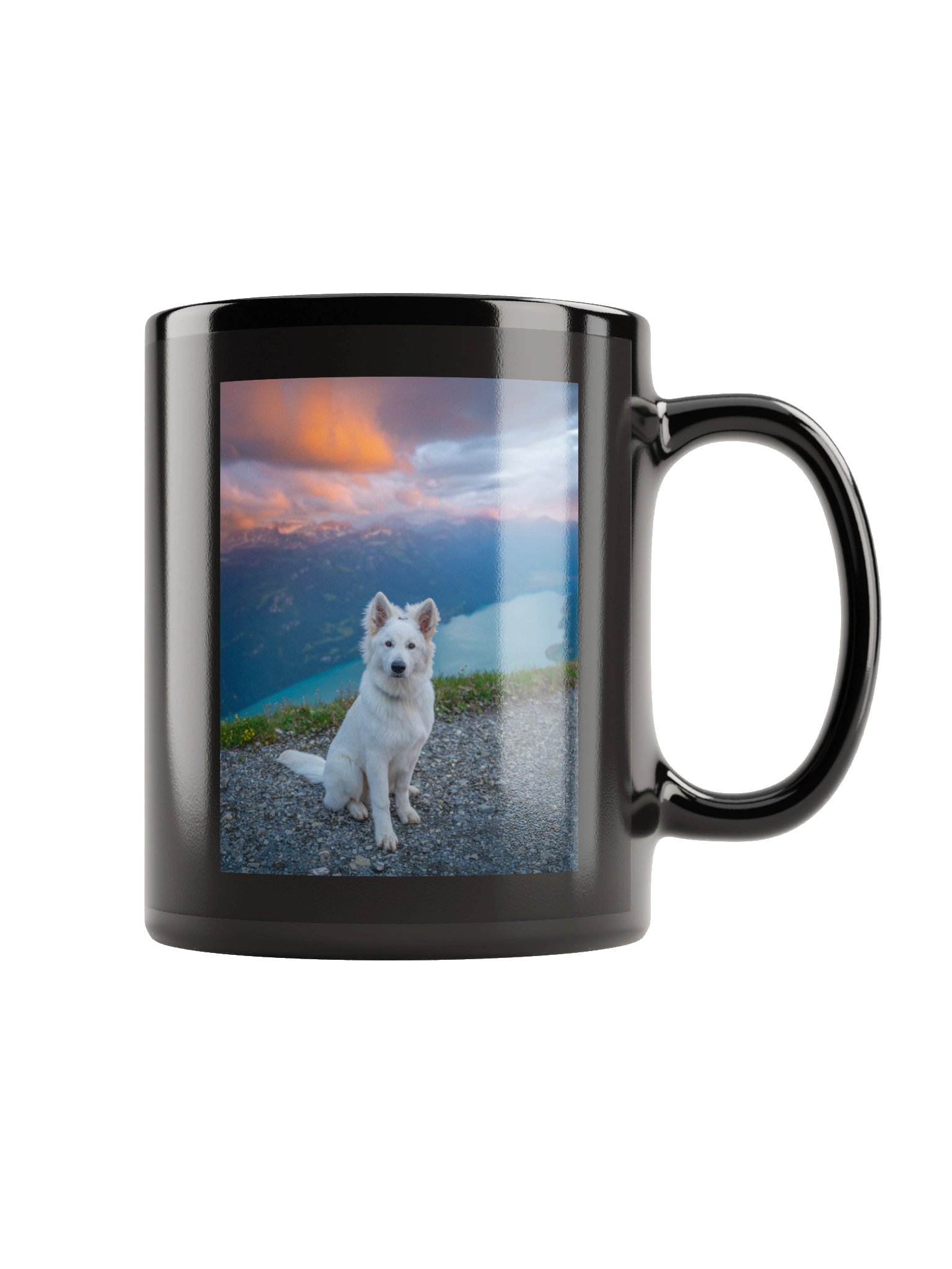 Lil Rasta at Brienzer Rothorn product image (5)