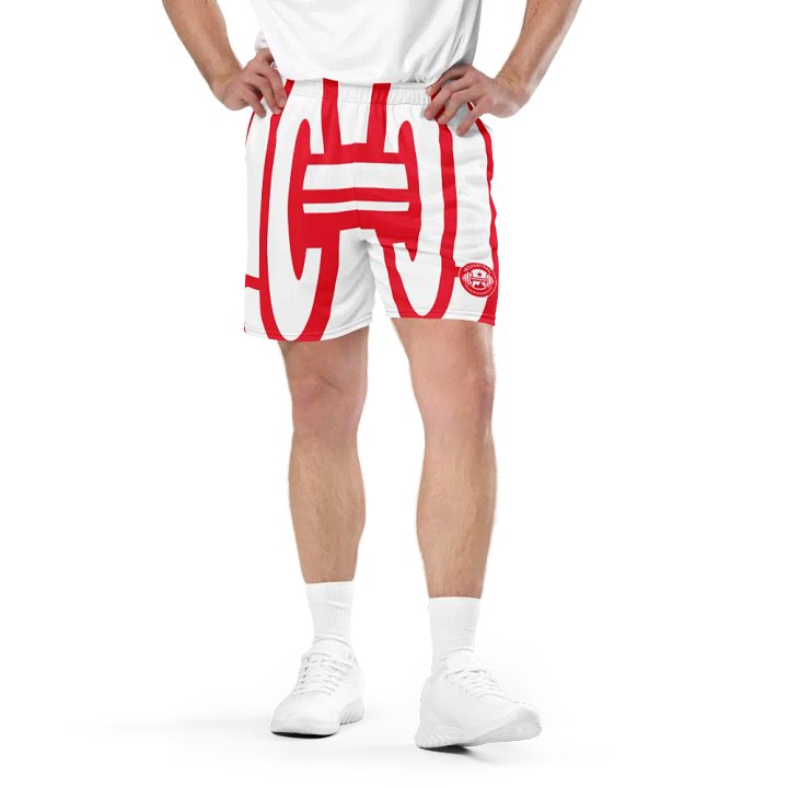 IFBNewsfeed.Org's All-Over Print Recycled Unisex Mesh Shorts product image (1)