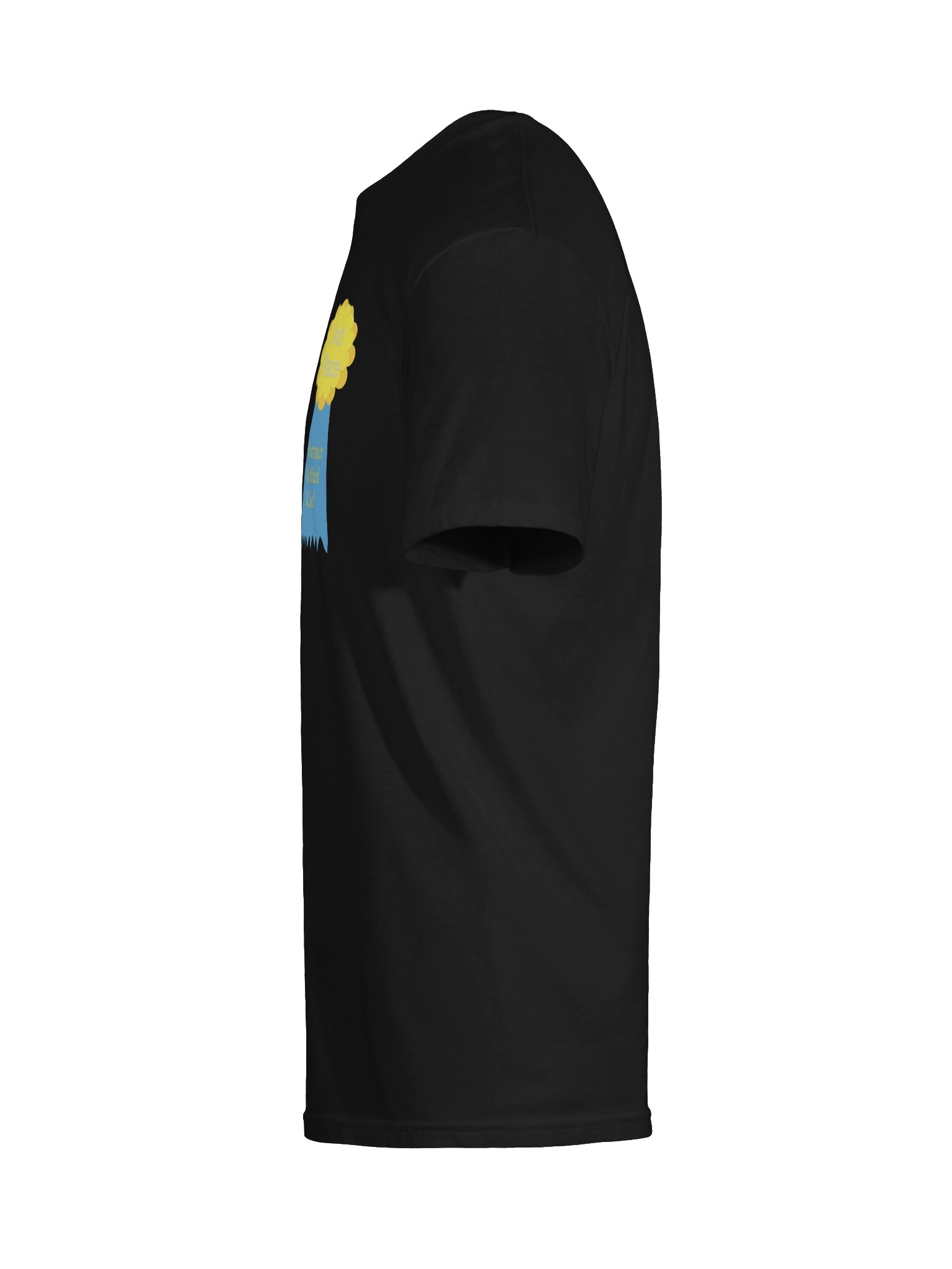 Former gifted kid product image (9)