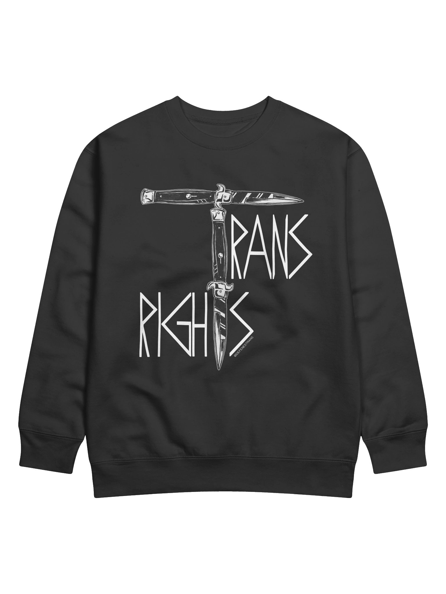 Trans Rights Sweatshirt product image (3)