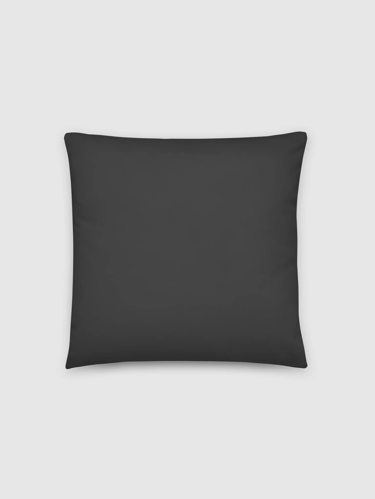 Doghouse Pillow product image (2)