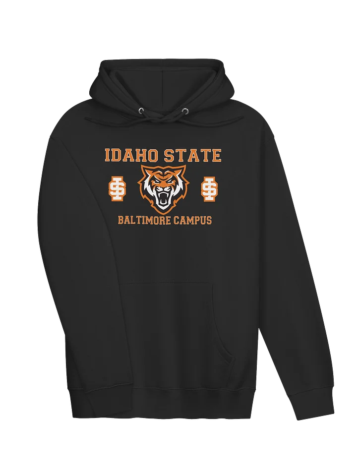 IS - Baltimore Hoodie product image (2)