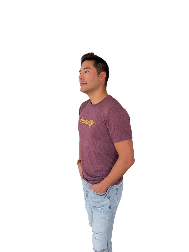 Pancanos Triblend Tee product image (2)