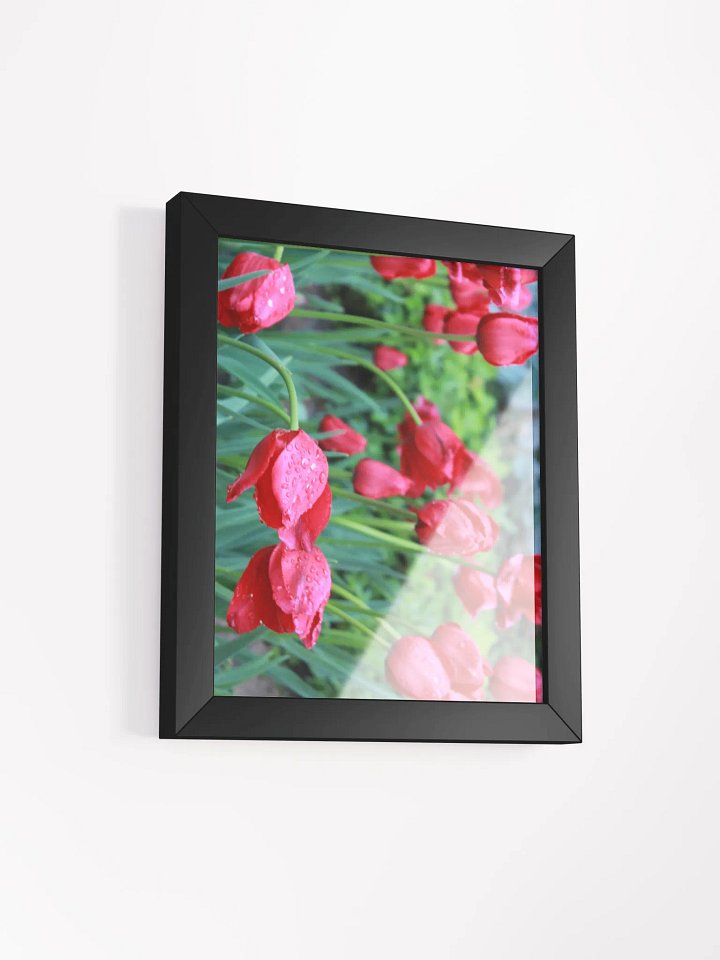 Tulips product image (4)