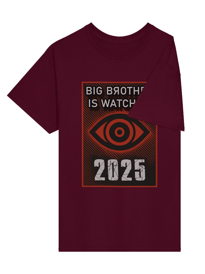 2025 Big Brother Is Watching Tee product image (2)