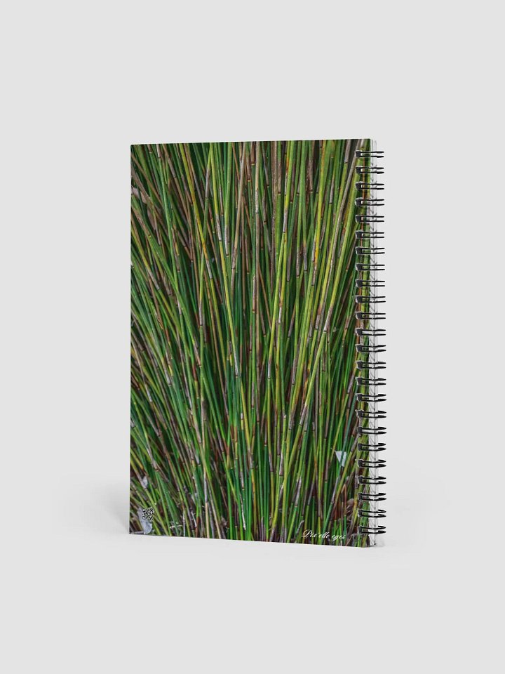 📓 Notebook Collection PURE – Jardin du Rayol – Roseau du Cap product image (2)