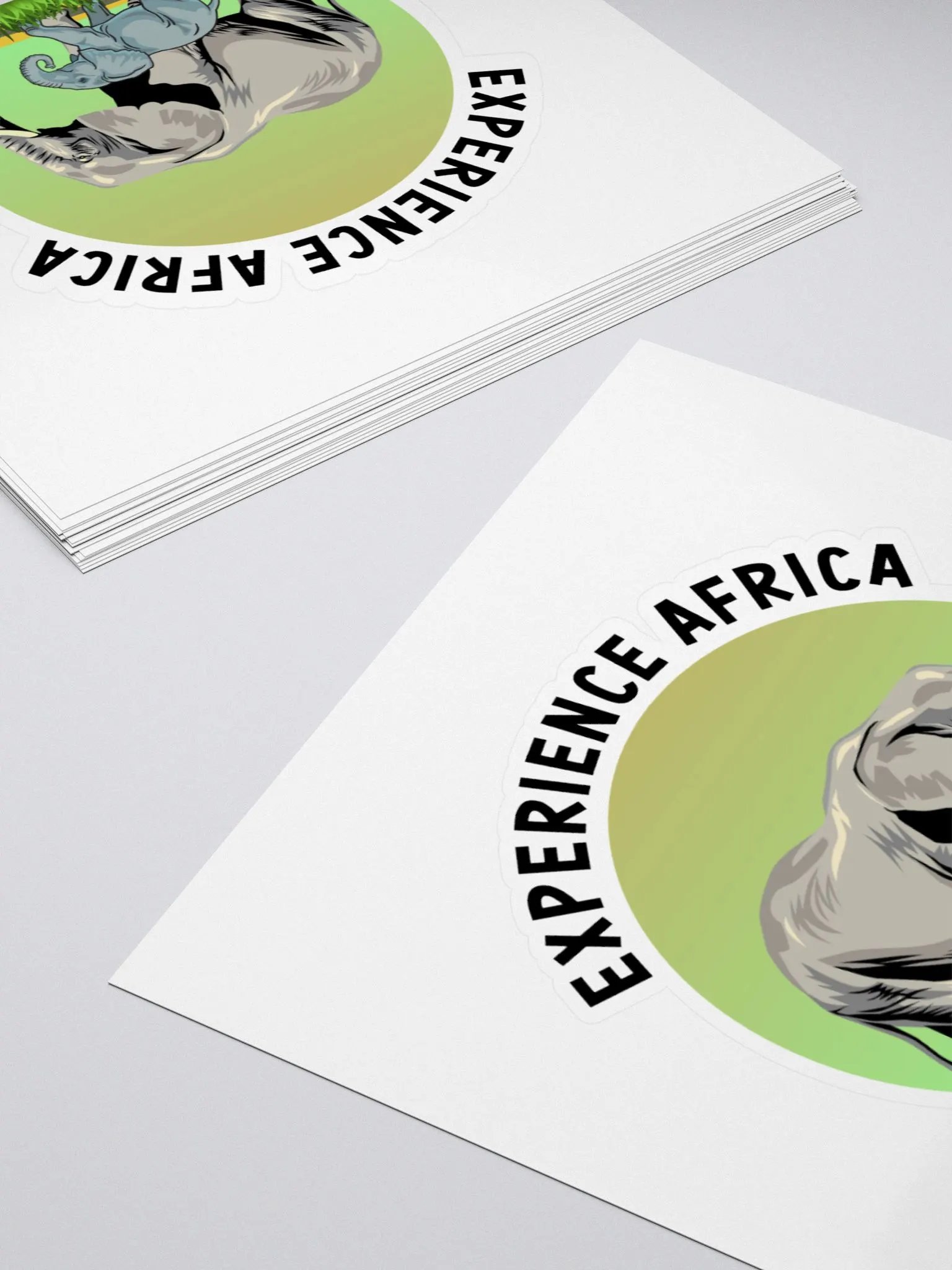 Experience Africa product image (11)