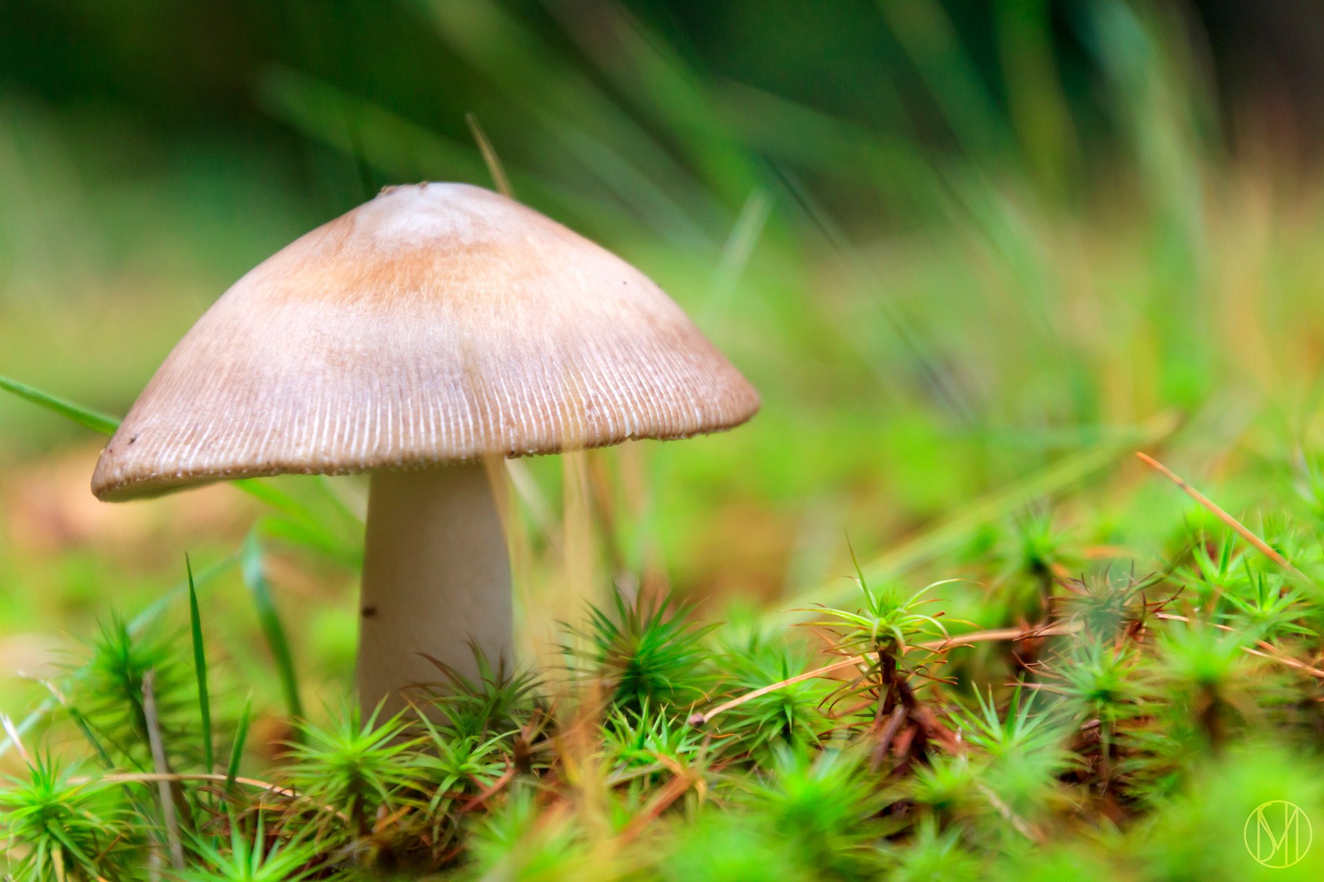 once. Print product image (1)