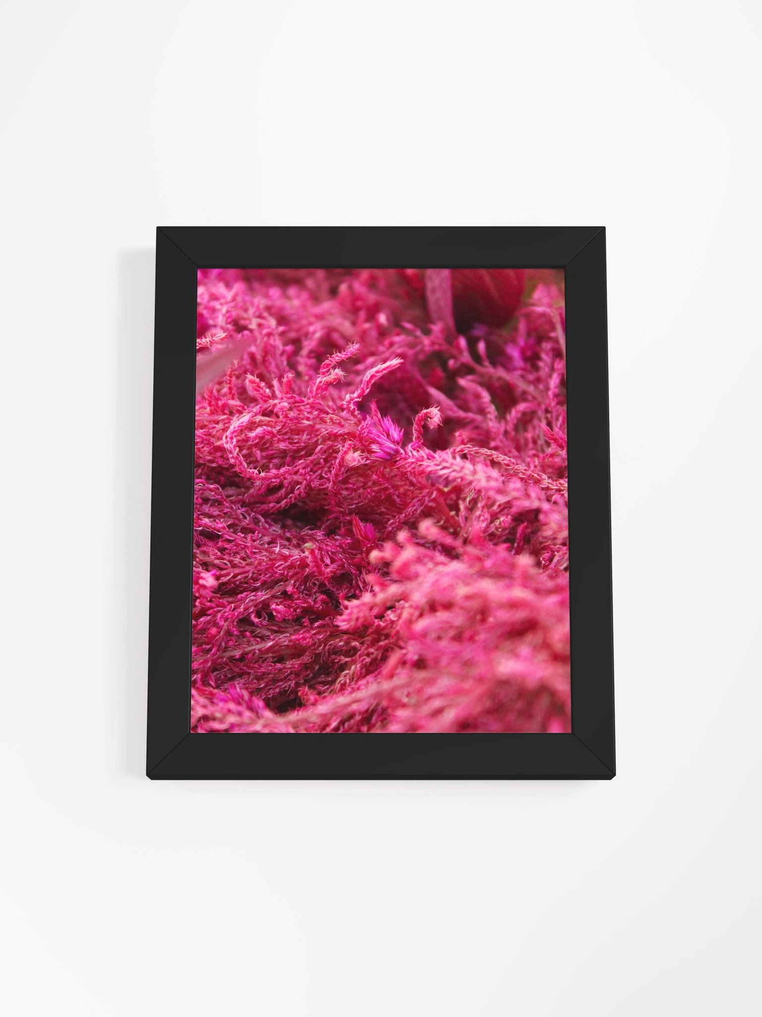 Pink Fluffy Botanical Framed Paper Poster product image (2)