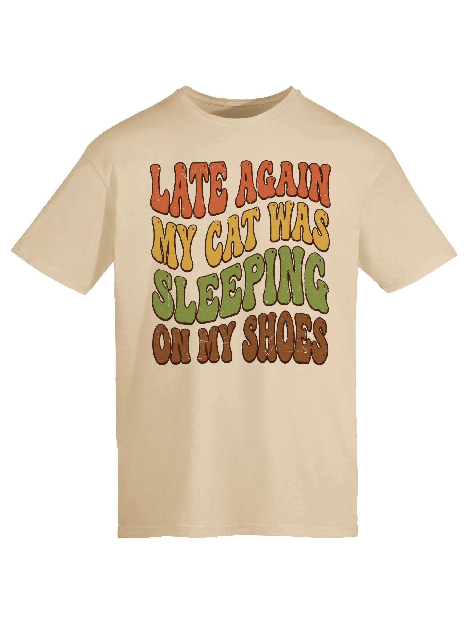 Cat On Shoes T-Shirt product image (42)