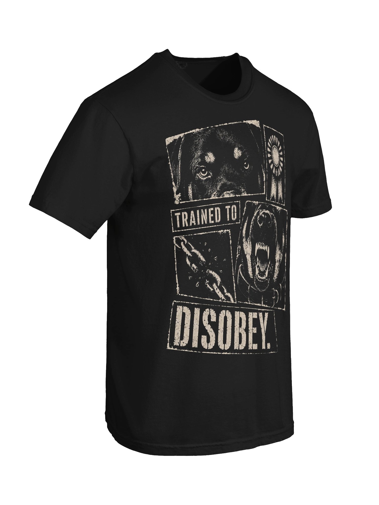 Trained to Disobey Heavyweight Vintage Graphic Tee product image (4)