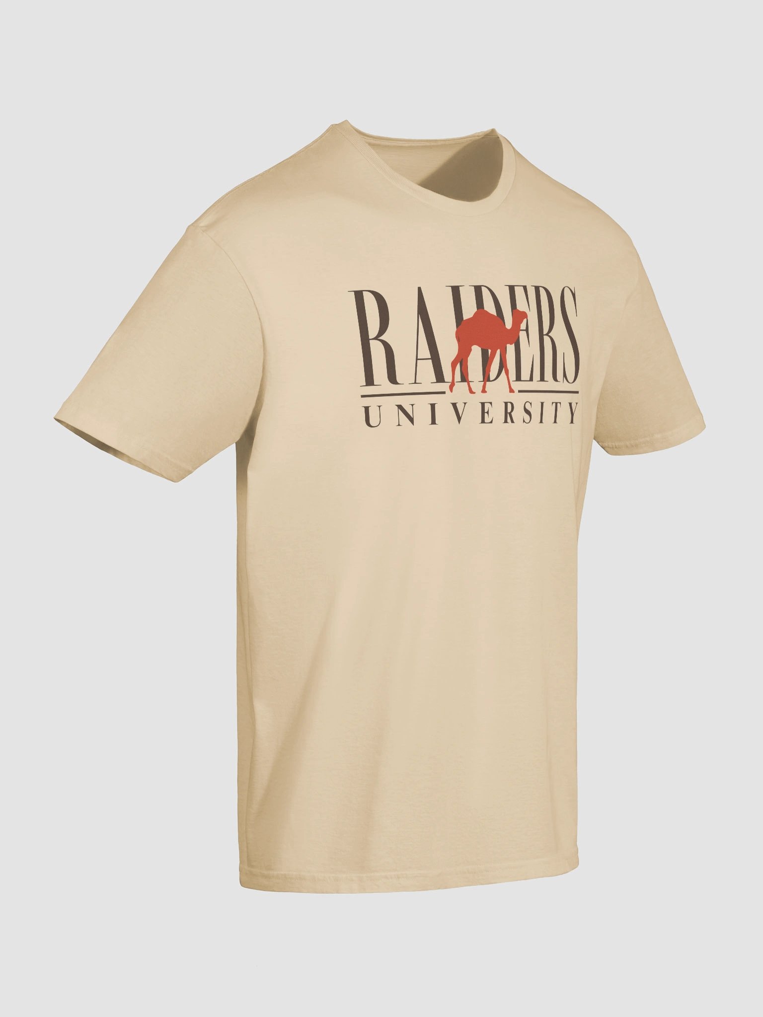 Raiders University Tee product image (5)