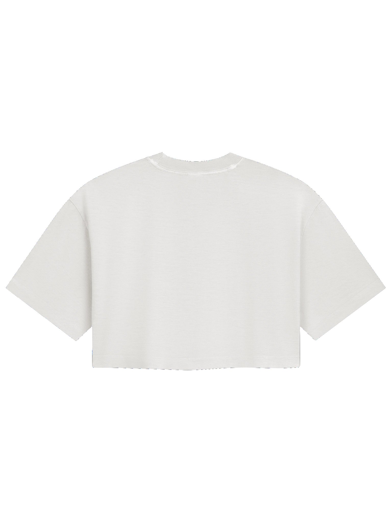 NOP Pride/Love Crop Top product image (2)