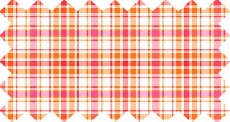 Orange and Hot Pink Plaid (CO26)