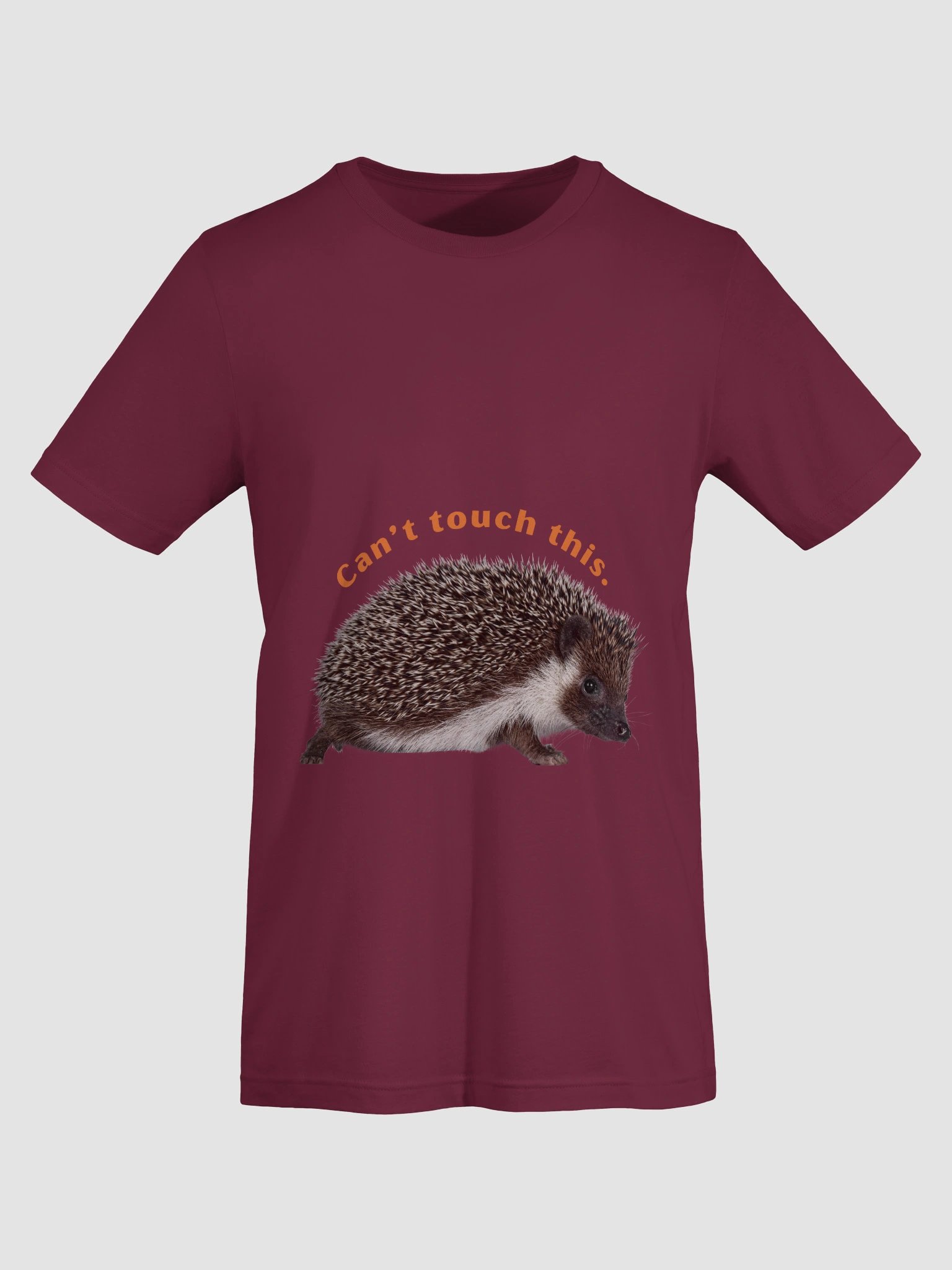 Spike, the hedgehog — simple and funny product image (4)