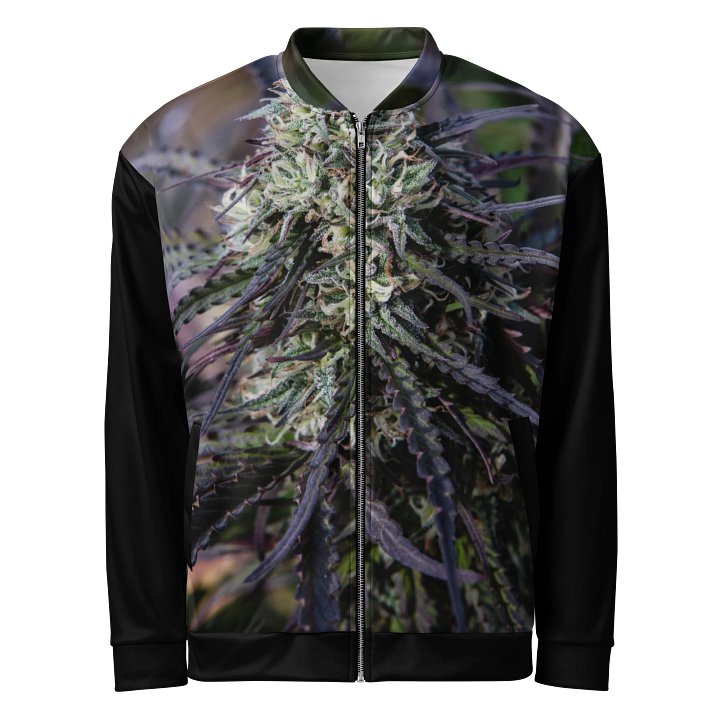 Royal Purple Cultivated Bomber Jacket product image (1)