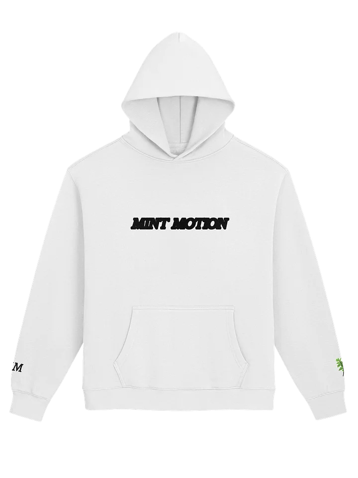 Mint Series Ultra-Soft Oversized Hoodie product image (1)